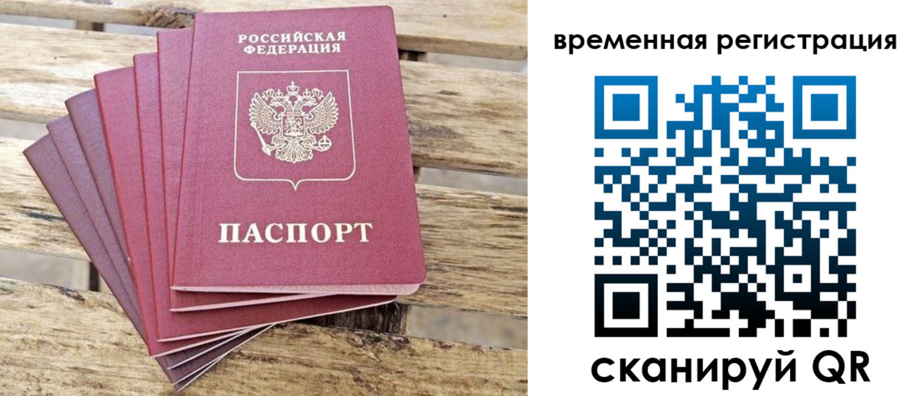 прописка поиск в Курске